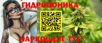 бошки Будённовск
