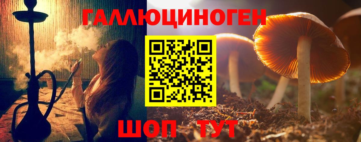 Галлюциногенные грибы Psilocybe Искитим