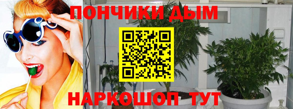 Шишки марихуана Ganja Искитим
